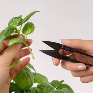 Mini nožnice na údržbu rastlín Véritable, karbónové