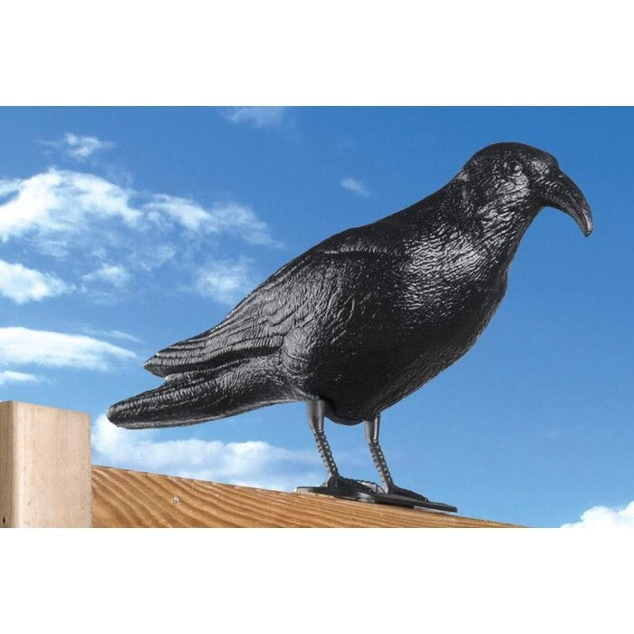 Odpudzovač holubov Toro Havran, 40x13x20cm